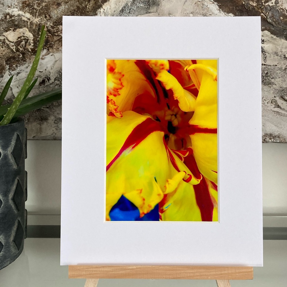“JAUNE” ~ ORIGINAL ART by ~ @lisamichellebeckerphotography